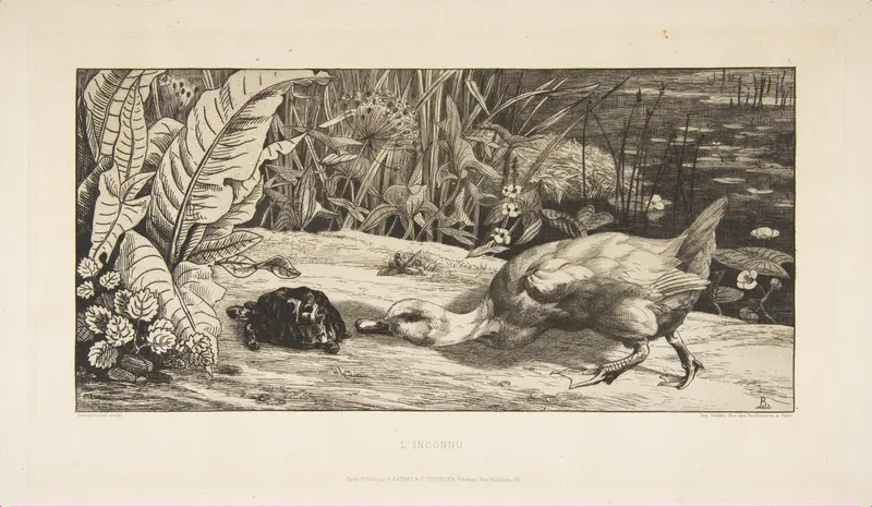L'Inconnu Wall Art by Félix Bracquemond - High-Resolution Digital Print
