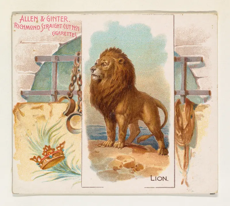 Lion, from Quadrupeds series (N41) for Allen & Ginter Cigarettes Wall Art by Allen & Ginter - High-Resolution Digital Print
