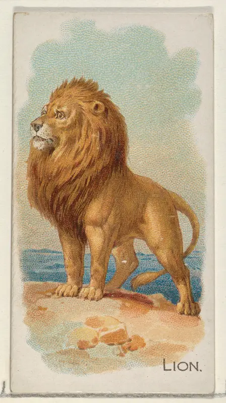 Lion, from the Quadrupeds series (N21) for Allen & Ginter Cigarettes Wall Art by Allen & Ginter - High-Resolution Digital Print