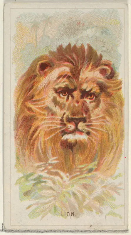 Lion, from the Wild Animals of the World series (N25) for Allen & Ginter Cigarettes Wall Art by Allen & Ginter - High-Resolution Digital Print