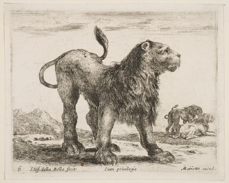 Lion, plate 6 from "Various Animals" (Diversi Animali) Wall Art by Stefano della Bella - High-Resolution Digital Print