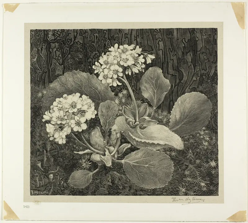 Little Plant in Moss, plate one from Flower Studies Wall Art by Theodoor van Hoytema - High-Resolution Digital Print