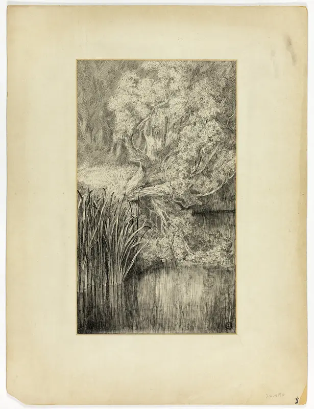 Little Pond in Woods Wall Art by Unknown - High-Resolution Digital Print