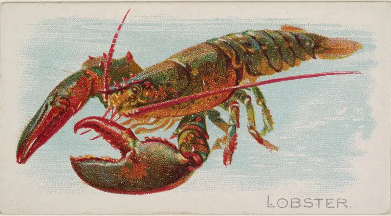 Lobster, from the Fish from American Waters series (N8) for Allen & Ginter Cigarettes Brands Wall Art by Allen & Ginter - High-Resolution Digital Print