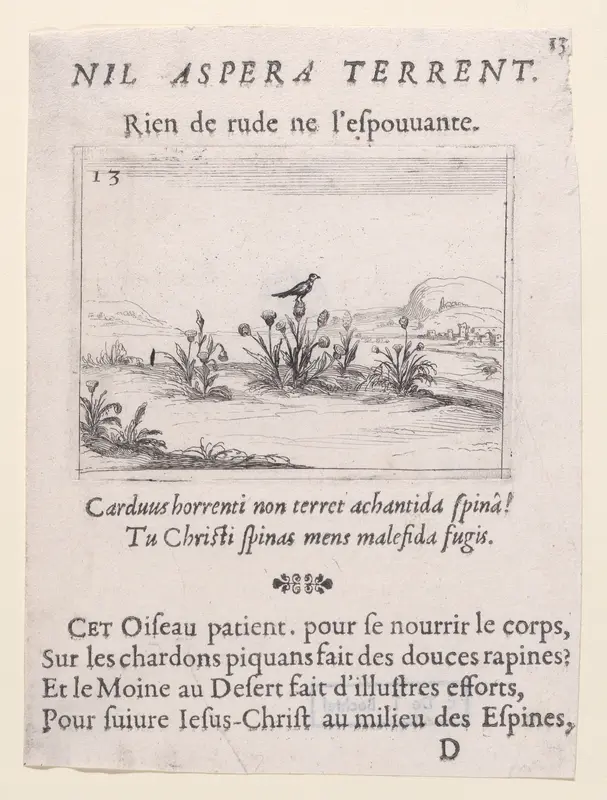 L'Oiseau Posé sur un Chardon en Fleurs (The Bird Standing on Thistle Flower), plate 13 from "Lux Claustri ou La Lumière du Cloitre" (The Light of the Cloisters) Wall Art by Jacques Callot - High-Resolution Digital Print