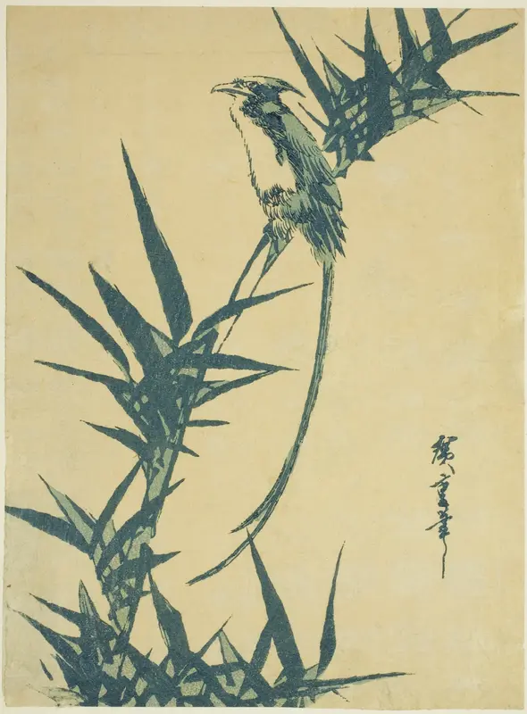 Long-tailed bird and bamboo
