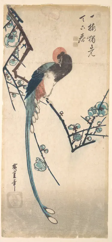 Long Tailed Bird