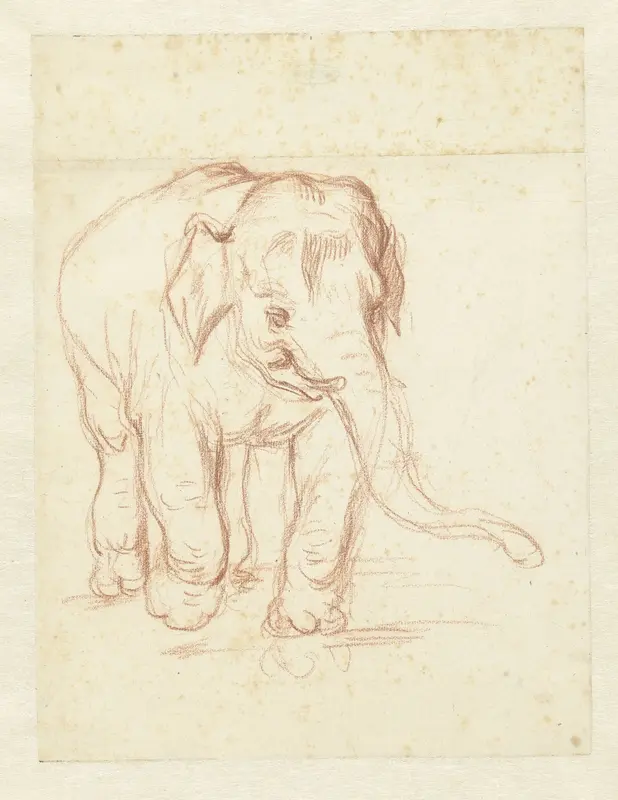 Lopende olifant Wall Art by Petrus Camper - High-Resolution Digital Print