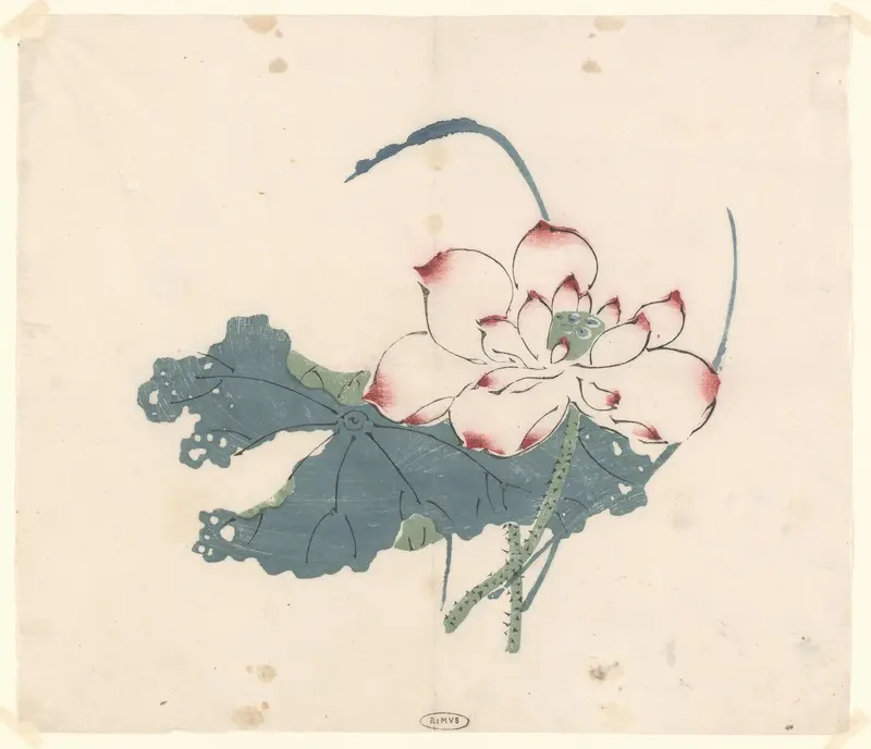 Lotus Wall Art by anonymous - High-Resolution Digital Print