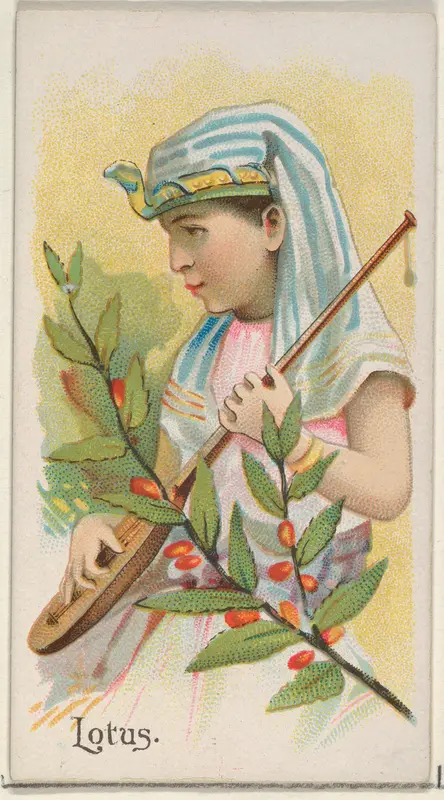 Lotus, from the Fruits series (N12) for Allen & Ginter Cigarettes Brands Wall Art by Allen & Ginter - High-Resolution Digital Print