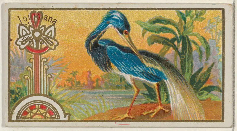 Louisiana Heron, from the Game Birds series (N13) for Allen & Ginter Cigarettes Brands Wall Art by Allen & Ginter - High-Resolution Digital Print
