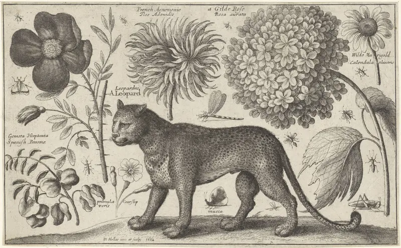 Luipaard, bloemen en insecten Wall Art by Unknown - High-Resolution Digital Print