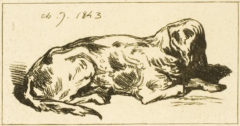 Lying Dog