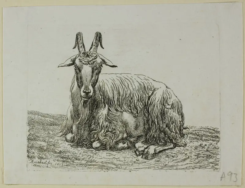 Lying Goat, from Die Zweite Thierfolge Wall Art by Johann Christian Reinhart - High-Resolution Digital Print