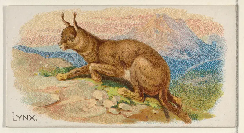 Lynx, from the Quadrupeds series (N21) for Allen & Ginter Cigarettes Wall Art by Allen & Ginter - High-Resolution Digital Print
