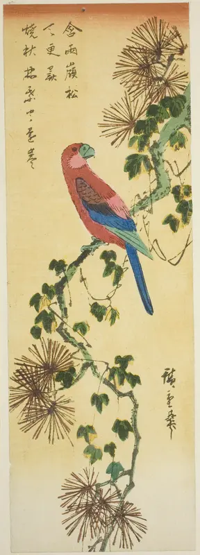 Macaw on ivy-covered pine branch Wall Art by Utagawa Hiroshige - High-Resolution Digital Print