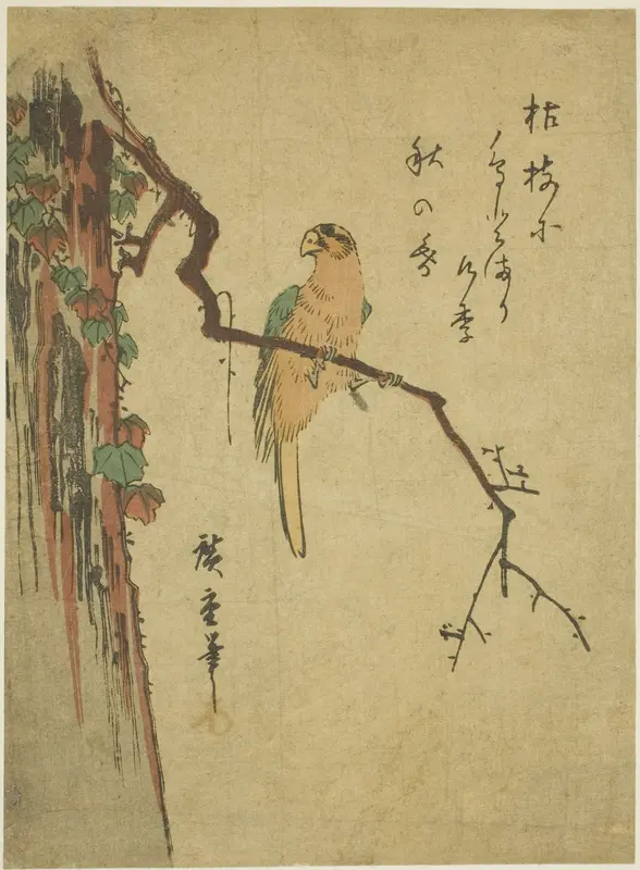 Macaw on ivy-covered tree