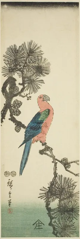Macaw on pine branch
