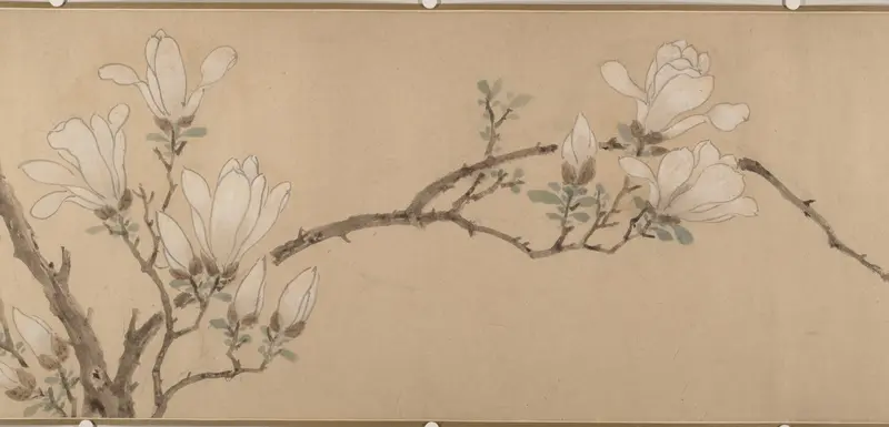 Magnolia