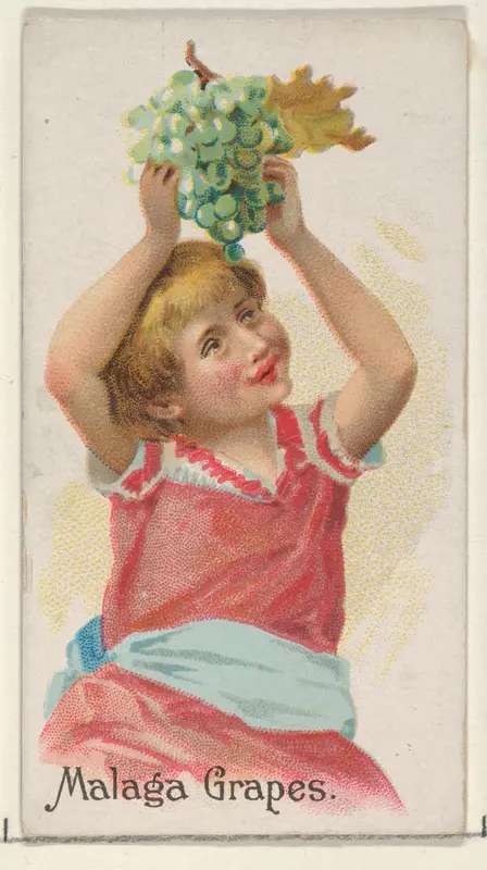 Malaga Grapes, from the Fruits series (N12) for Allen & Ginter Cigarettes Brands Wall Art by Allen & Ginter - High-Resolution Digital Print