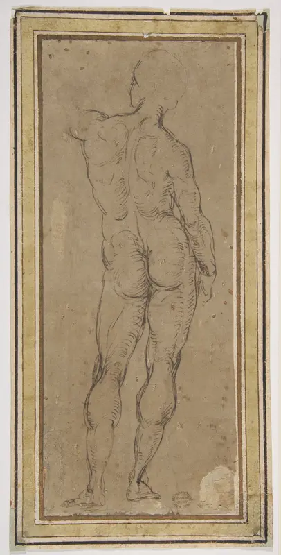 Male Figure Seen from Rear, after a drawing by Michelangelo Wall Art by Raphael (Raffaello Sanzio or Santi) - High-Resolution Digital Print