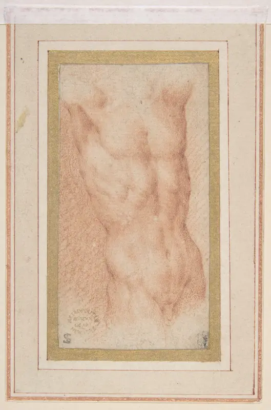 Male Nude Torso with Raised Arms Wall Art by Parmigianino (Girolamo Francesco Maria Mazzola) - High-Resolution Digital Print