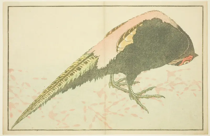Male Pheasant, from The Picture Book of Realistic Paintings of Hokusai (Hokusai shashin gafu)