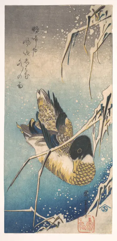 Mallard and Snow-covered Reeds