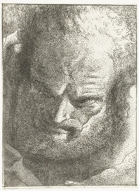 Man kijkt naar beneden Wall Art by Giovanni Domenico Tiepolo - High-Resolution Digital Print