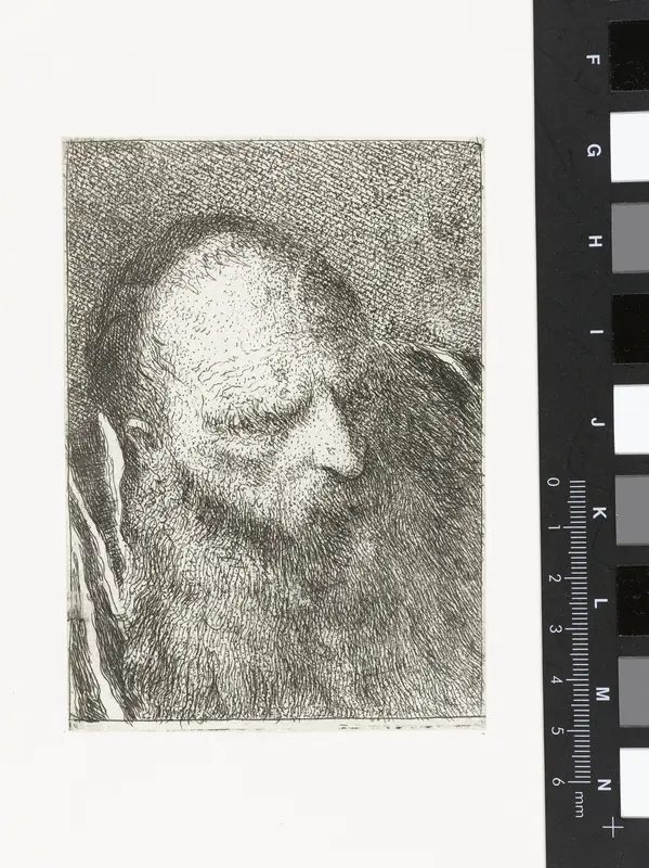 Man met baard en borstelige wenkbrauwen Wall Art by Giovanni Domenico Tiepolo - High-Resolution Digital Print