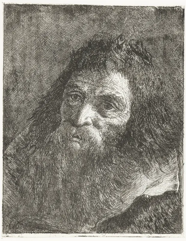 Man met lang haar en baard Wall Art by Giovanni Domenico Tiepolo - High-Resolution Digital Print