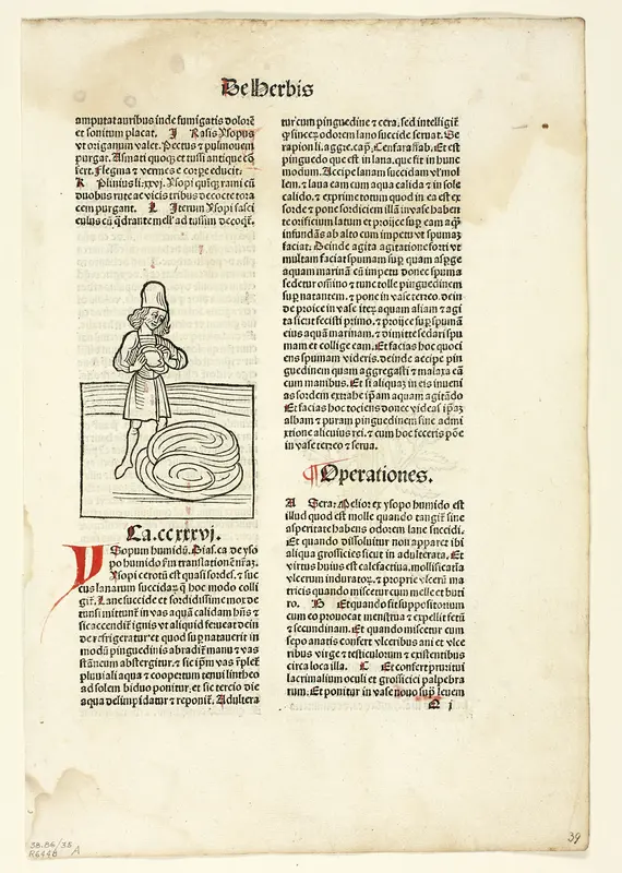 Man purging fluid from lungs (recto) and Plant for abdominal pain (verso) from Hortus Sanitatis (Garden of Health), Plate 35 from Woodcuts from Books of the 15th Century Wall Art by Unknown artist - High-Resolution Digital Print