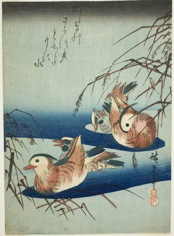 Mandarin ducks