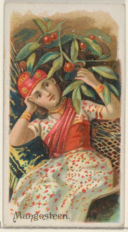 Mangosteen, from the Fruits series (N12) for Allen & Ginter Cigarettes Brands Wall Art by Allen & Ginter - High-Resolution Digital Print