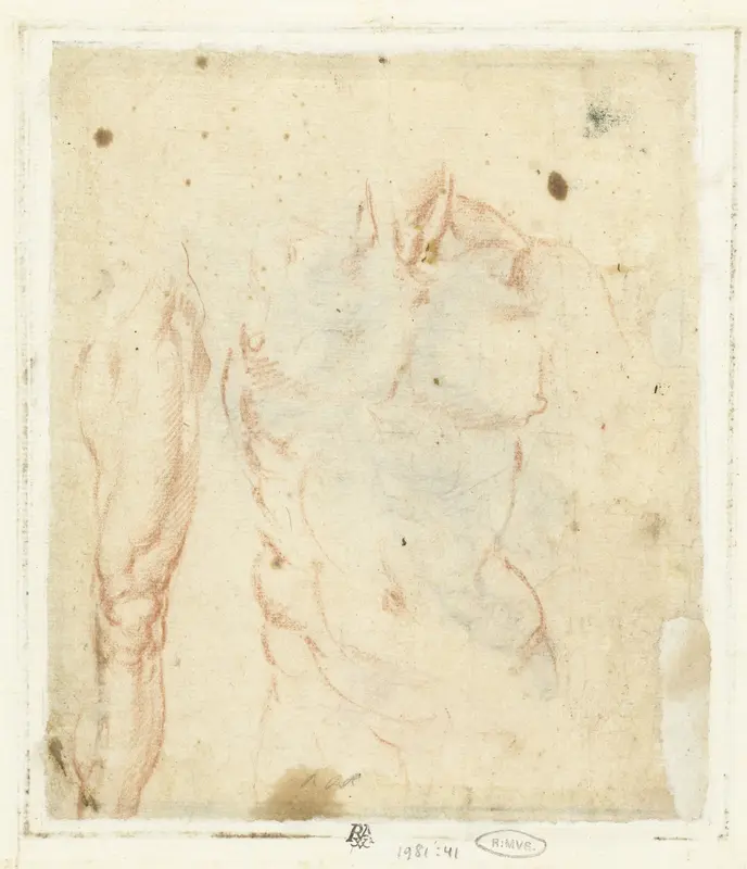 Mannelijk torso en been Wall Art by Bernardino Poccetti - High-Resolution Digital Print