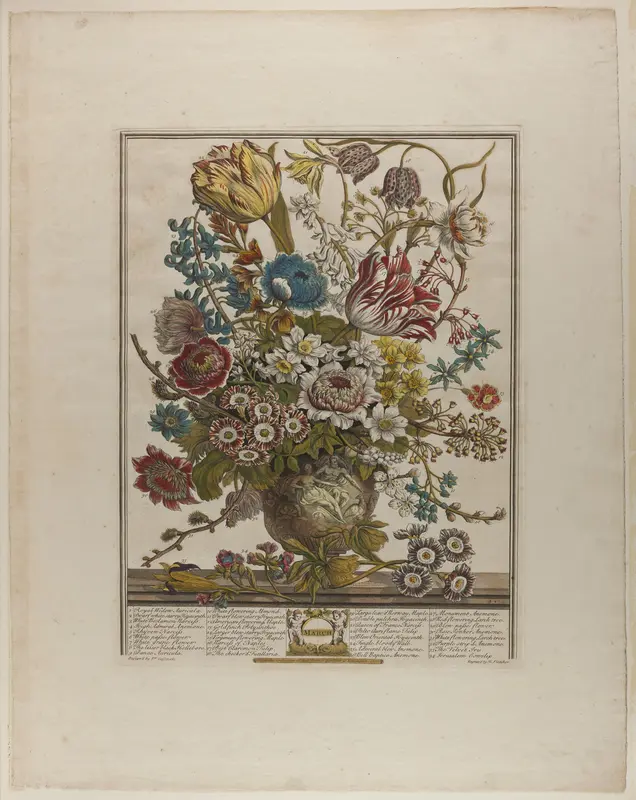 March, from Twelve Months of Flowers
