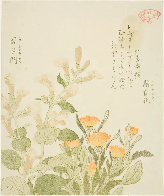 Marigold (Kinsenka) and Rashomon Flowers, from the series "Collection of Plants for the Kasumi Poetry Circle (Kasumi-ren somoku awase)"