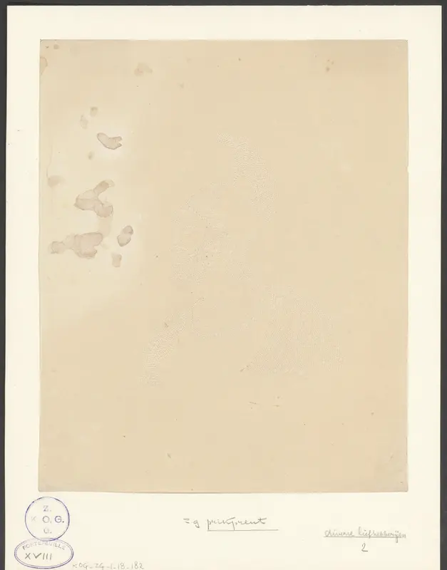 Mars Wall Art by anonymous - High-Resolution Digital Print