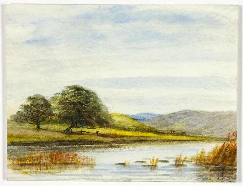 Marshy Landscape Wall Art by Unknown artist - High-Resolution Digital Print