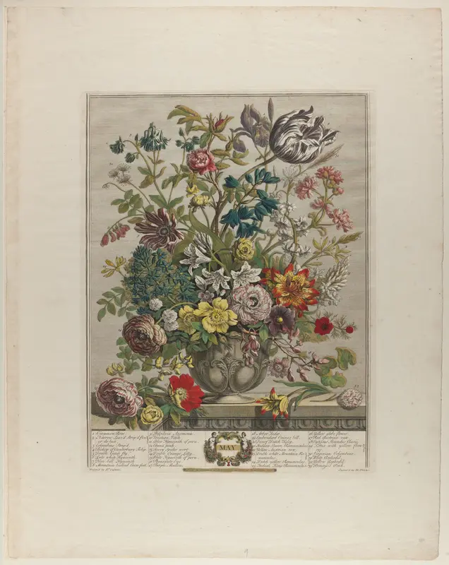 May, from Twelve Months of Flowers