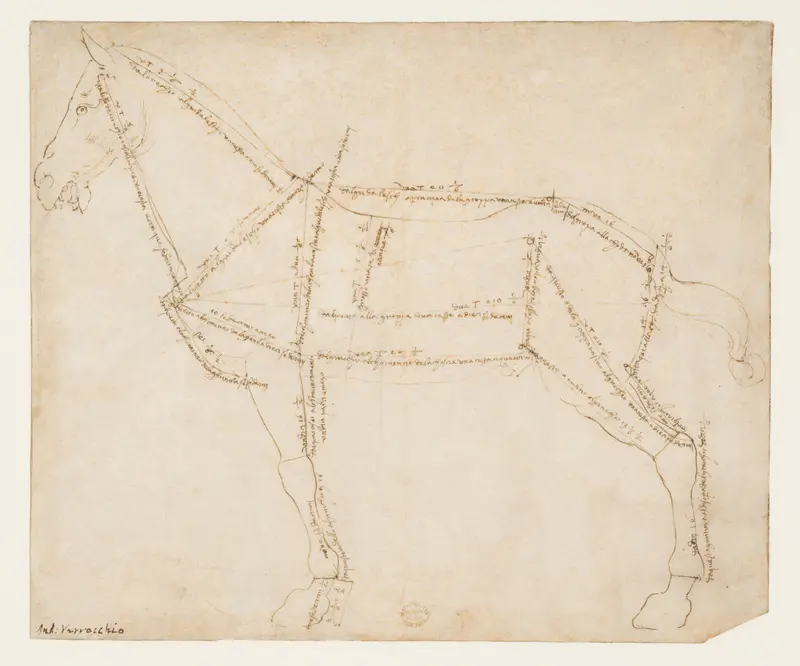 Measured Drawing of a Horse Facing Left (recto) Wall Art by Andrea del Verrocchio - High-Resolution Digital Print