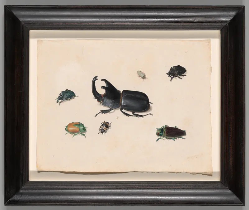 Megasoma Elephas or Megaceras Jason and Six Other Insects Wall Art by Pieter Holsteyn, the younger - High-Resolution Digital Print