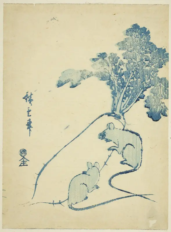 Mice and radish