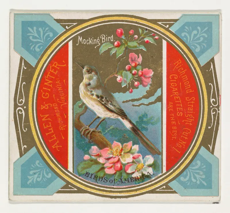 Mockingbird, from the Birds of America series (N37) for Allen & Ginter Cigarettes Wall Art by Allen & Ginter - High-Resolution Digital Print