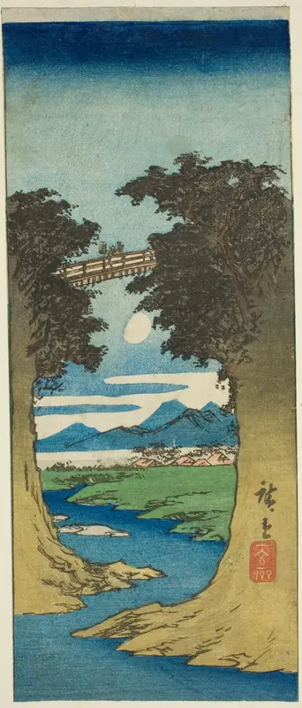 Monkey Bridge