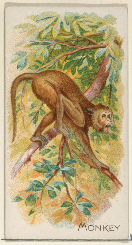 Monkey, from the Quadrupeds series (N21) for Allen & Ginter Cigarettes Wall Art by Allen & Ginter - High-Resolution Digital Print