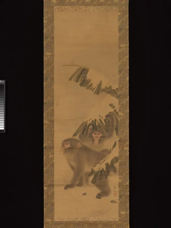 Monkeys