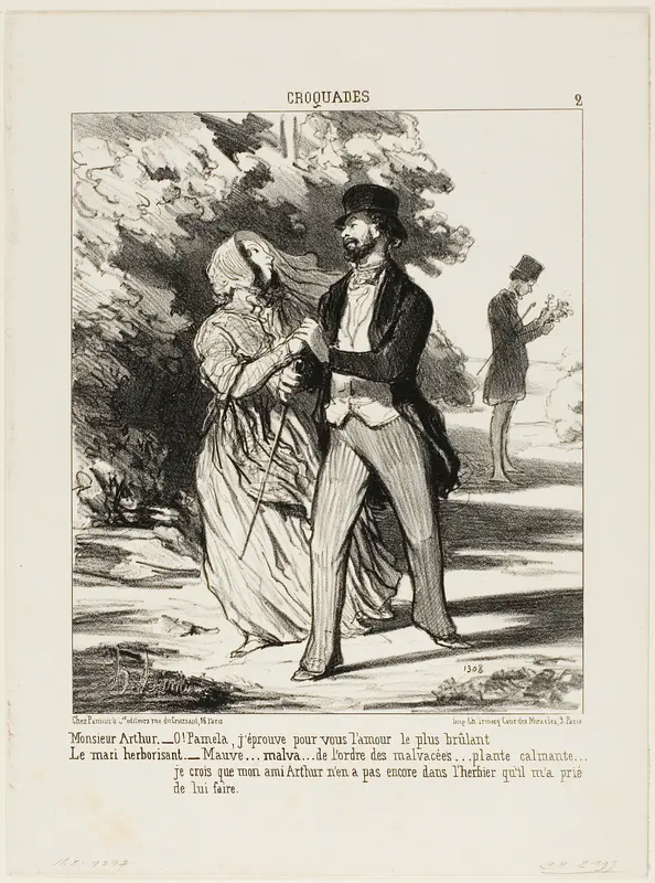Monsieur Arthur: “- Oh Pamela! I am burning with love for you!” The husband herbalist: “- A mallow... of the family of Malvaceae... a sedative... I don't believe my friend Arthur has this specimen in the herbarium he asked me to build for him,” plate