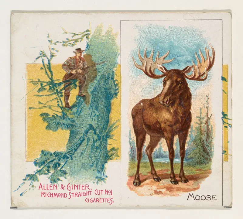 Moose, from Quadrupeds series (N41) for Allen & Ginter Cigarettes Wall Art by Allen & Ginter - High-Resolution Digital Print