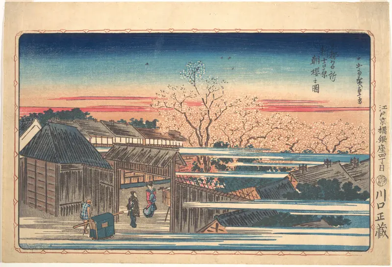 Morning Cherry Blossoms at Shin-Yoshiwara